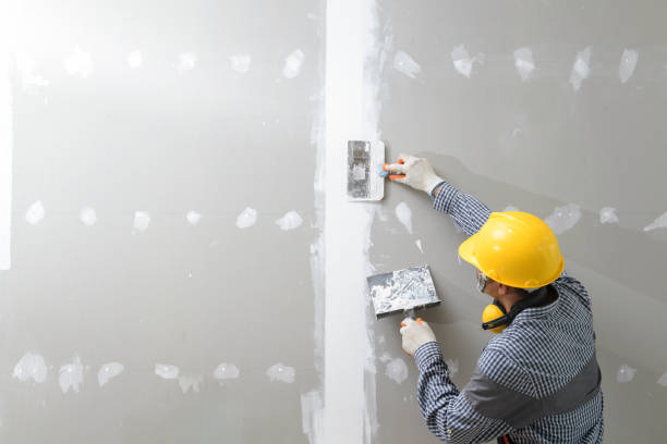 Best Drywall Sanding and Smoothing  in Schler Park, IL